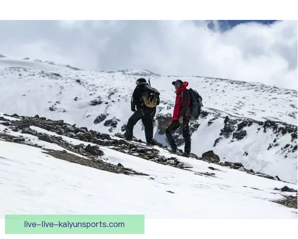 慢连足球直播平台带你全程实时跟踪全球赛事精彩瞬间